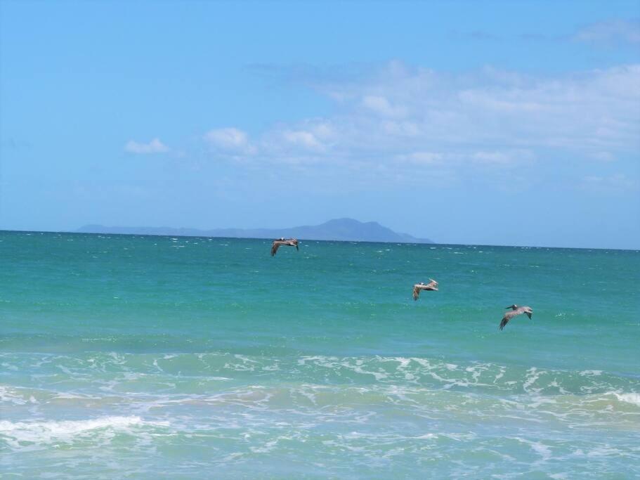 Beachfront Getaway For Two! Humacao Bagian luar foto